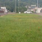 中標津町 売土地